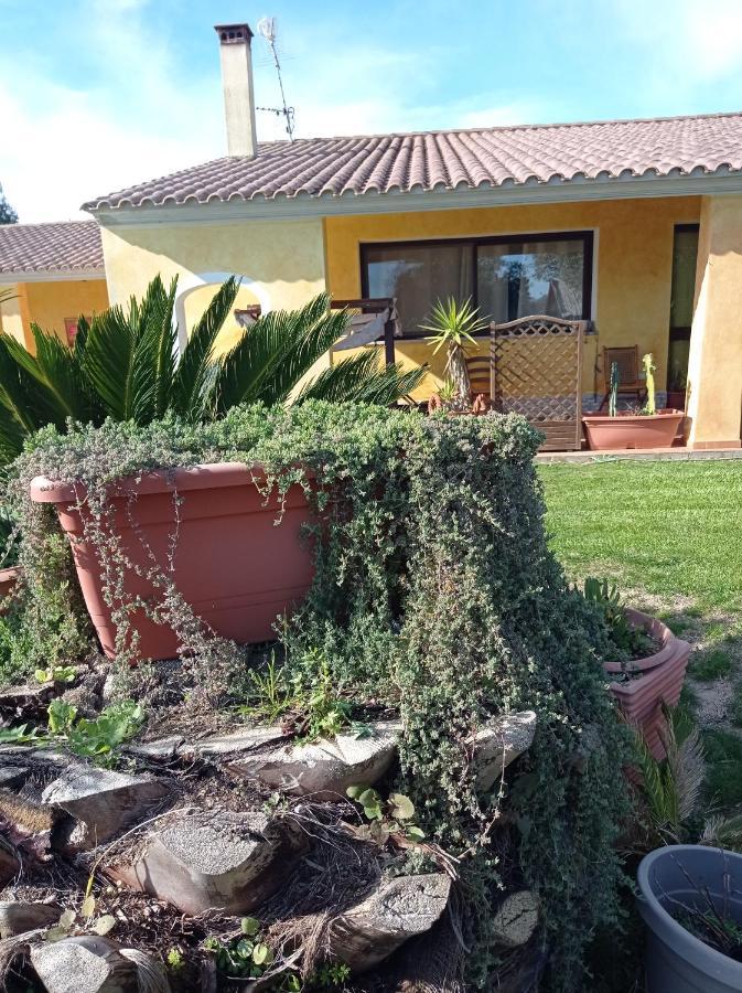 La Luce Del Sinis Villa Riola Sardo Exteriör bild